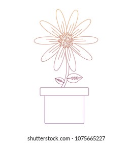 Beautiful flowers design