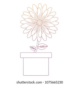 Beautiful flowers design