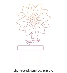 Beautiful flowers design
