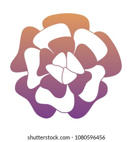 beautiful flowers design