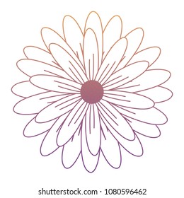 beautiful flowers design