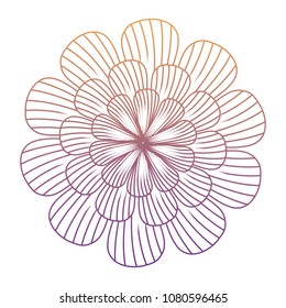 beautiful flowers design