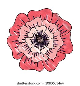 beautiful flowers design