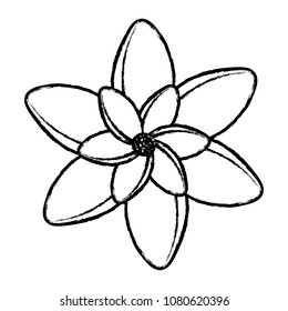 beautiful flowers design