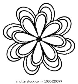 beautiful flowers design