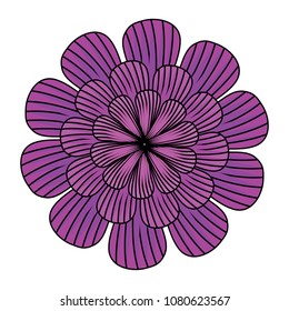 beautiful flowers design