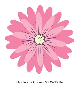 beautiful flowers design