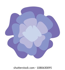 beautiful flowers design