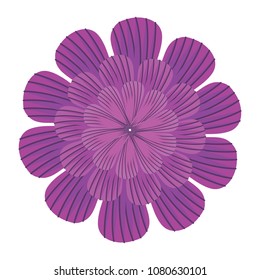 beautiful flowers design