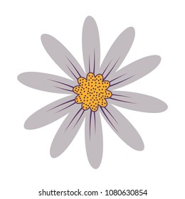 beautiful flowers design