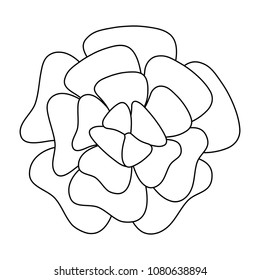 beautiful flowers design