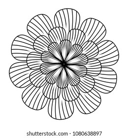 beautiful flowers design