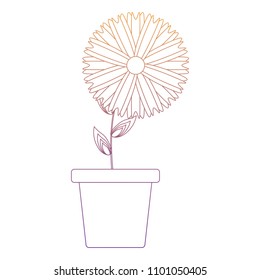 beautiful flowers design