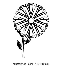 beautiful flowers design
