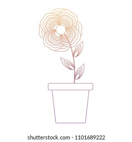 beautiful flowers design