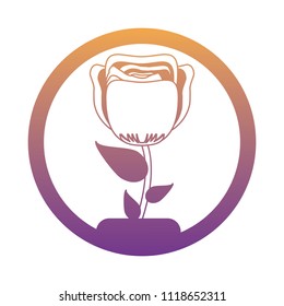 beautiful flowers design