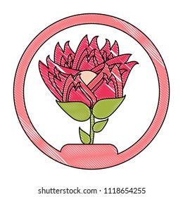 beautiful flowers design