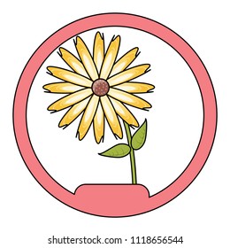 beautiful flowers design