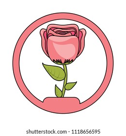 beautiful flowers design