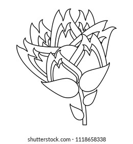 beautiful flowers design
