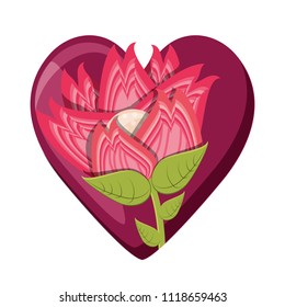 beautiful flowers design