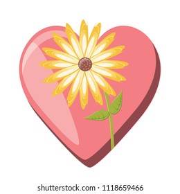 beautiful flowers design