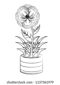 beautiful flowers design