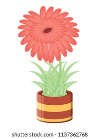 beautiful flowers design