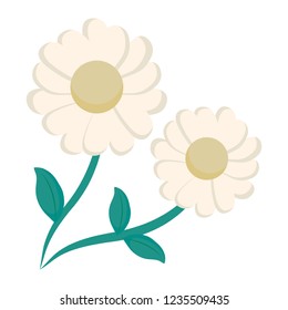 Beautiful flowers design