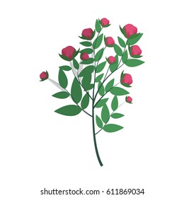 beautiful flowers design