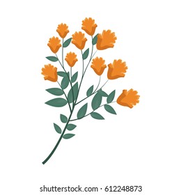 beautiful flowers design