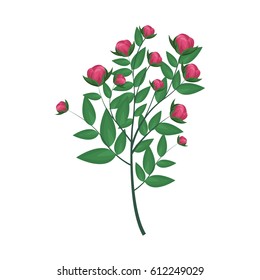 beautiful flowers design