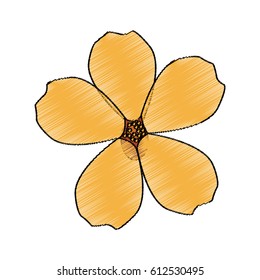 beautiful flowers design