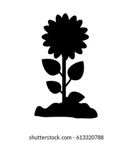 beautiful flowers design