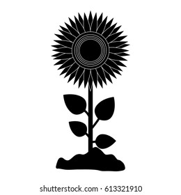 beautiful flowers design