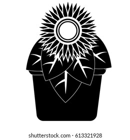 beautiful flowers design