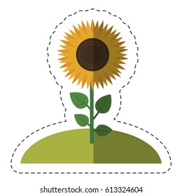 Beautiful flowers design