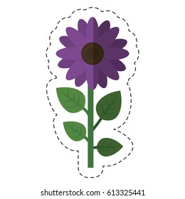 Beautiful flowers design