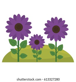 beautiful flowers design