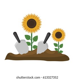 beautiful flowers design