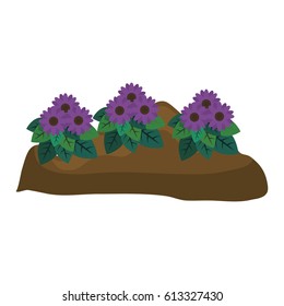 beautiful flowers design