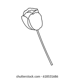 beautiful flowers design