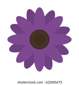 beautiful flowers design