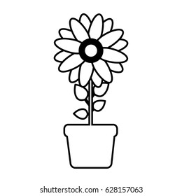 beautiful flowers design