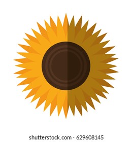 beautiful flowers design