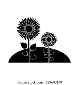 beautiful flowers design