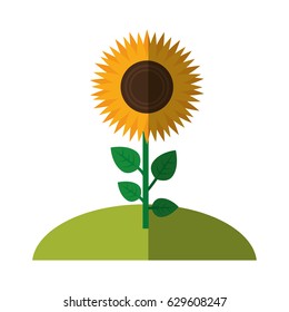 beautiful flowers design