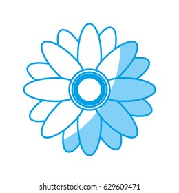 beautiful flowers design