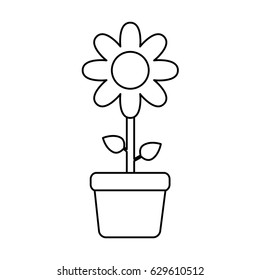 beautiful flowers design