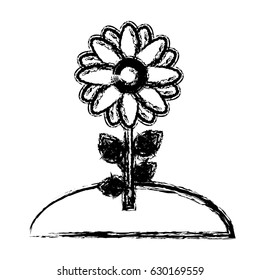beautiful flowers design